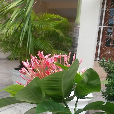 Each Hostel Da Amazonia Манаус Екстер'єр фото