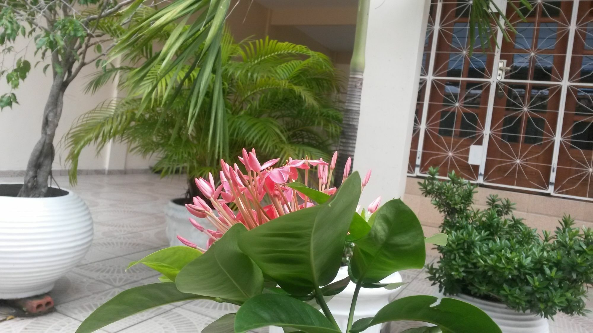Each Hostel Da Amazonia Манаус Екстер'єр фото